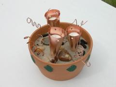 DSCN0356.JPG