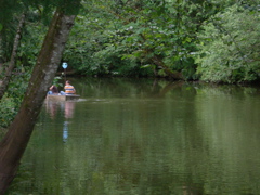 DSCN0387.JPG