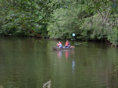 DSCN0389.JPG