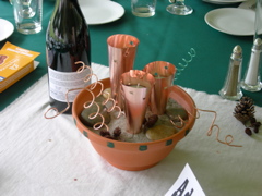DSCN0348.JPG